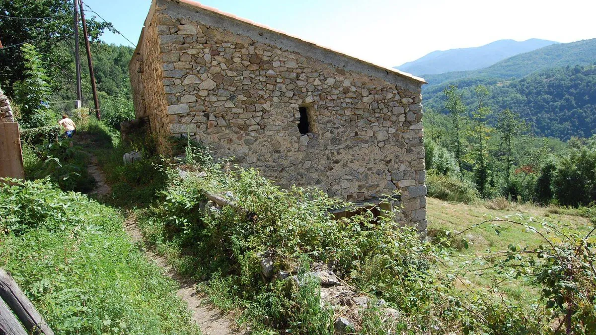 Photo 21