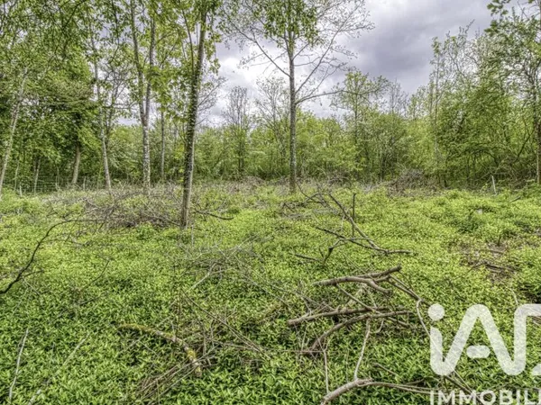Terrain 2024 m²