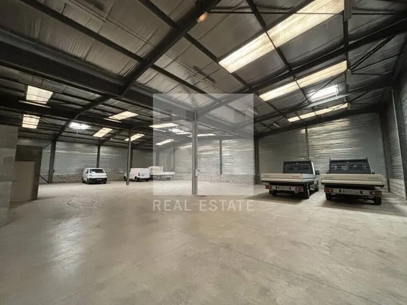 Photo 5