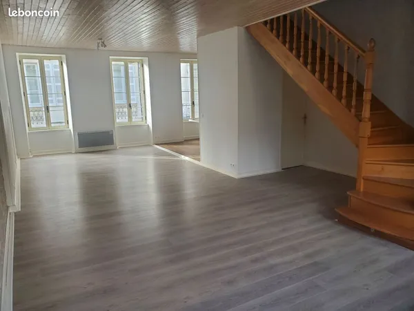 Grand appartement et local commercial