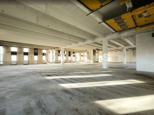 Local d'activité 507 m²