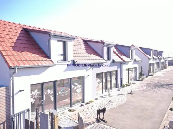 Local profesionnel 86M2