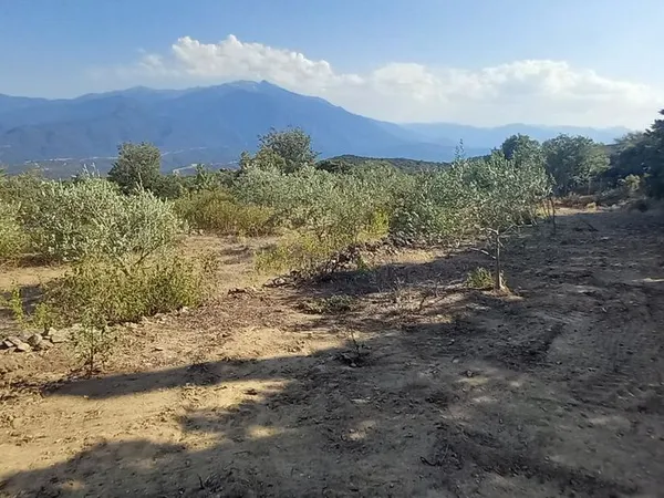 Vend terrain agricole