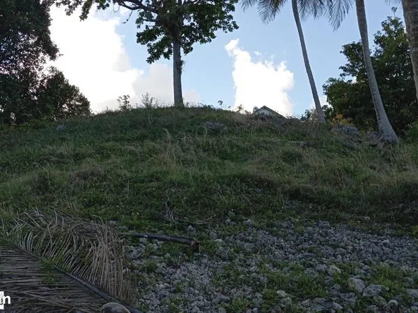 Terrain 2995 m² LE GOSIER