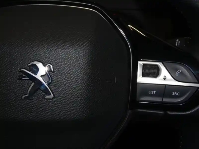 Peugeot 208 1.2 puretech 75ch s&amp;s active business — photo 13