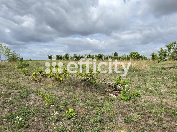 Terrain 880 m²