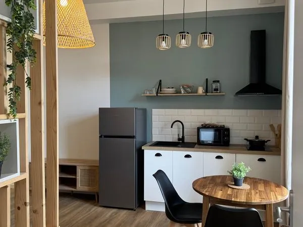 Studio meublé rénové - 24 m2, 490 CC