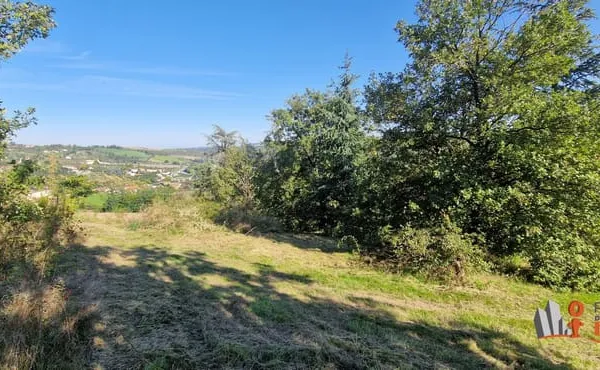 Grand Terrain Constructible