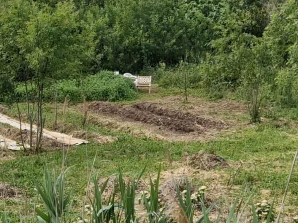 Terrain 2100 m²