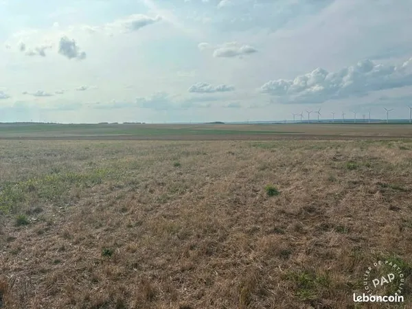 Terrain 4255 m²