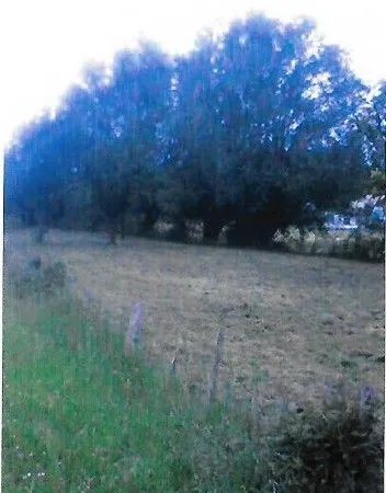 Terrain d'agrément
