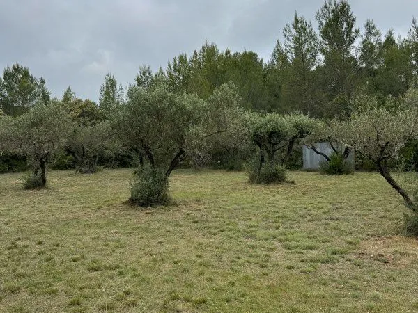 Terrain de loisirs