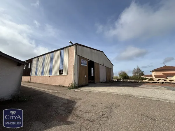 Local professionnel 1000 m²