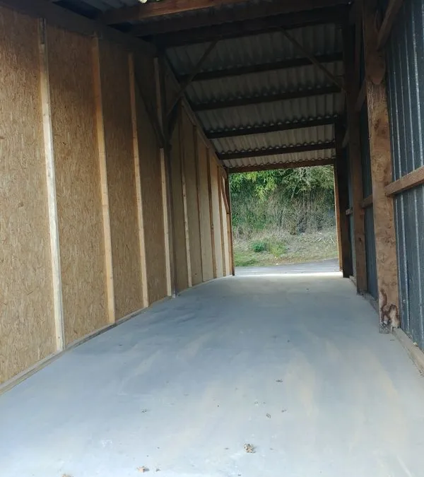 Photo 2