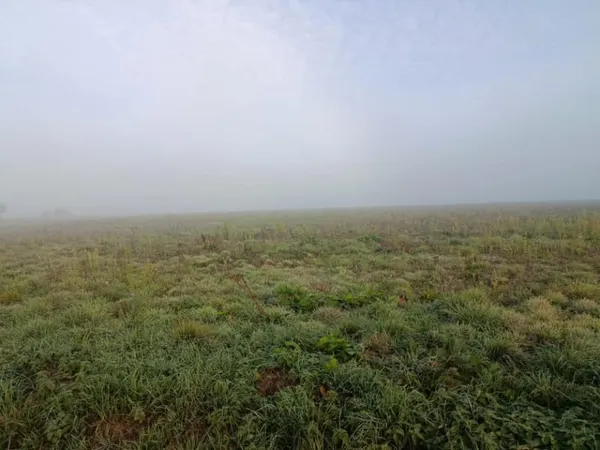 Terrain 1240 m²
