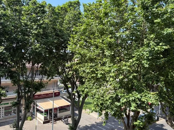 Appartement 3 pièces 75 m²