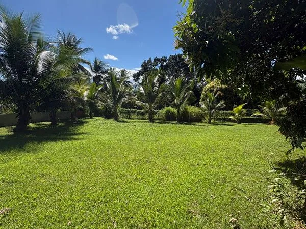 Terrain à vendre - 699m2