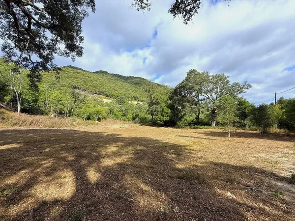 Terrain Plat et arboré de 860 m2 - Serra Di Fiumorbo
