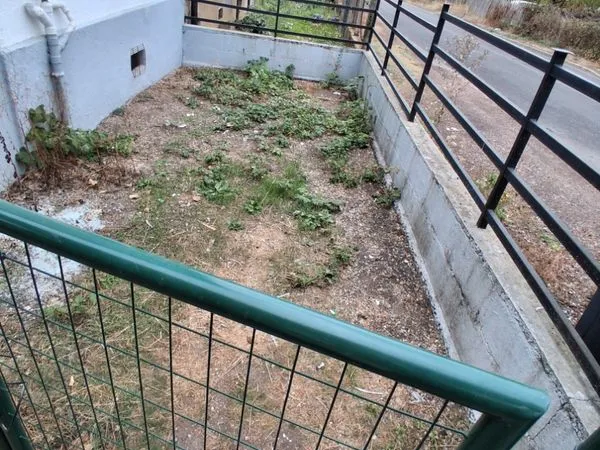 Location terrain 25 m2 (potager)