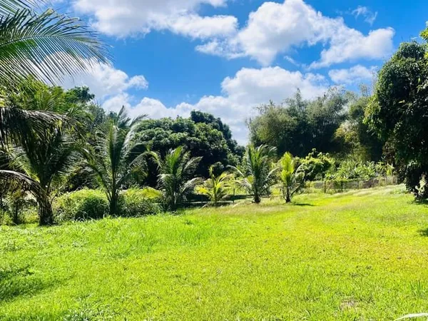 Terrain 700 m²