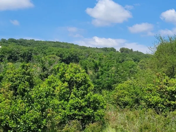 Terrain 937 m²