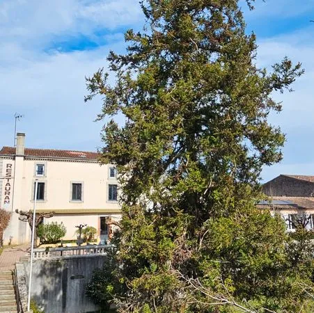 COLIV'CASTRES, une colocation étudiants all inclusive