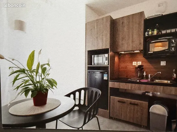 Studio meublé et loué 19,85 m2 - Résidence étudiante HUGO PARC - Villeurbanne 69