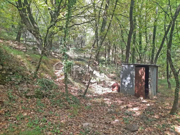 Terrain 4270 m²