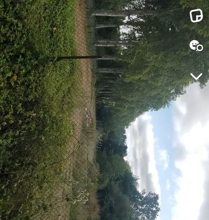 Terrain agricole