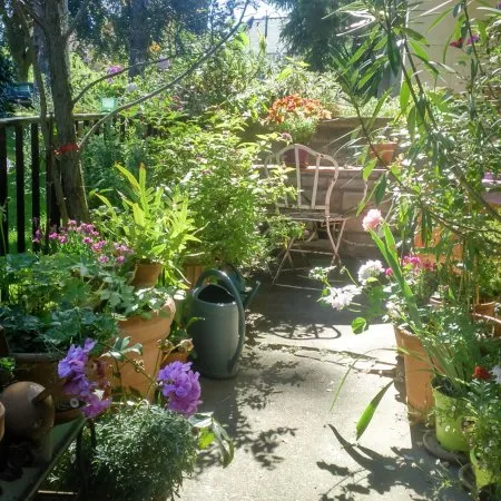 Propose colocation appartement 70m² dans havre de verdure pour amoureux des chats
