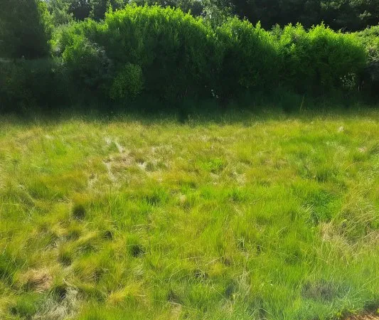 Terrain en individuel 236 m²