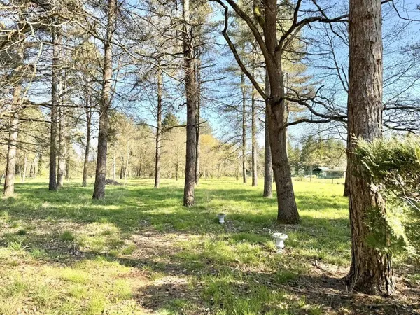 Terrain constructible 5865 m²