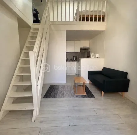 Appartement 1 pièce 24 m²