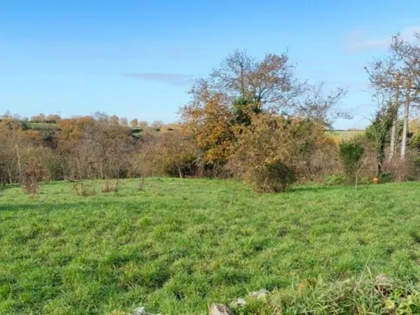 Terrain 800 m²