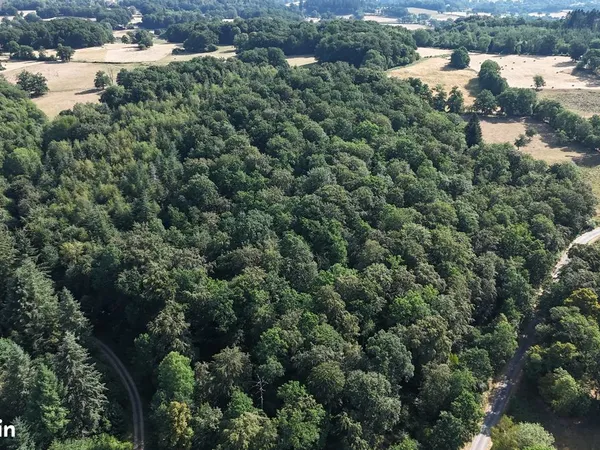 Forêt de production de 18,56 ha - Un patrimoine forestier d'exception en Creuse