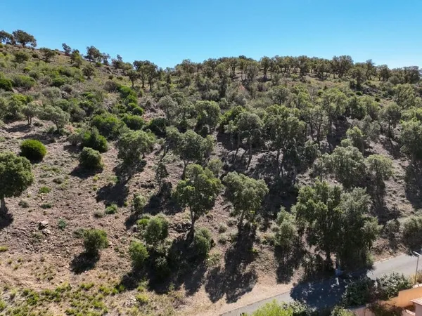 Terrain 1434 m²