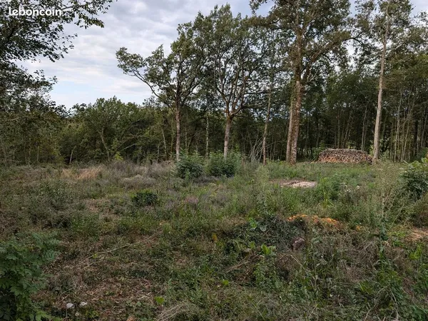 Terrain 2814 m² LA CASSAGNE