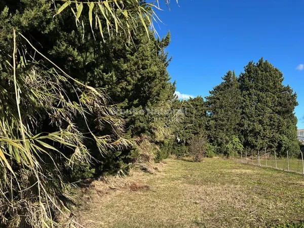 Terrain 550 m²