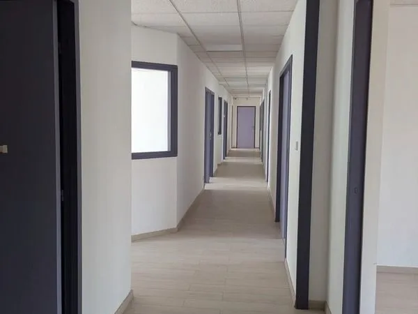 Bureaux 245 m²