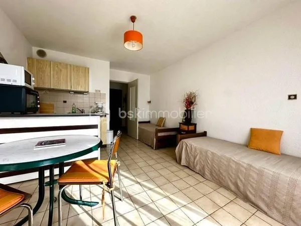 Appartement 1 pièce 24 m²