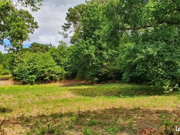 Terrain 2 981 m² Riberac