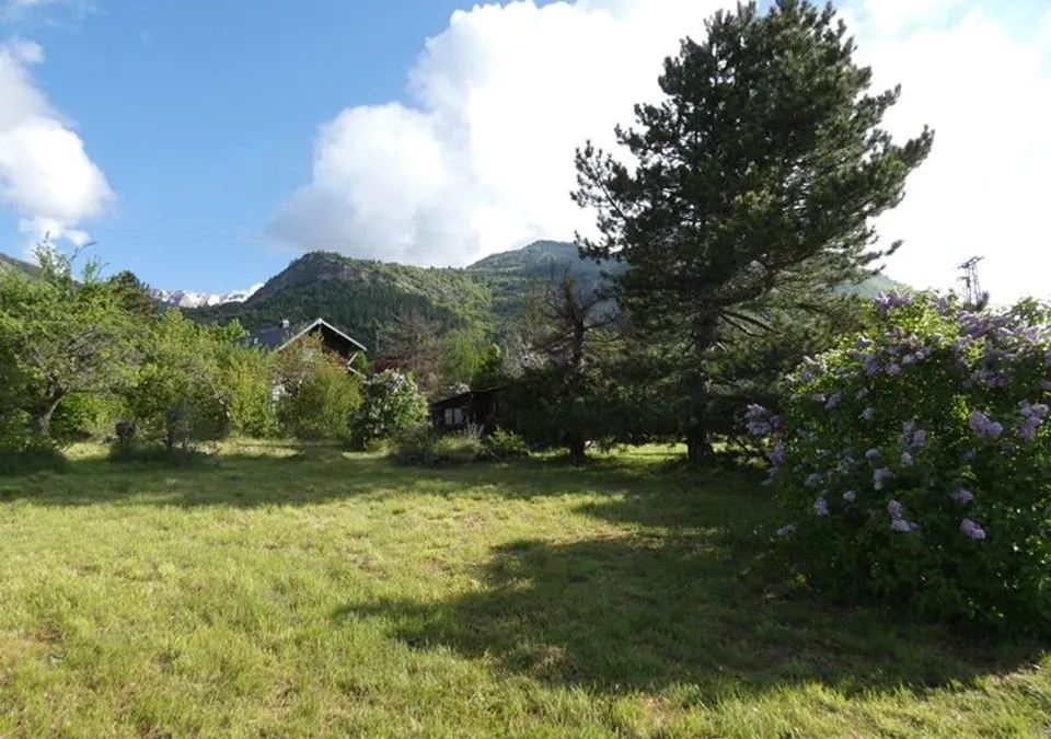 Photo 6