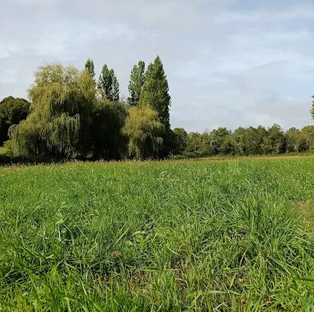 Maison neuve 3 pièces 63 m²