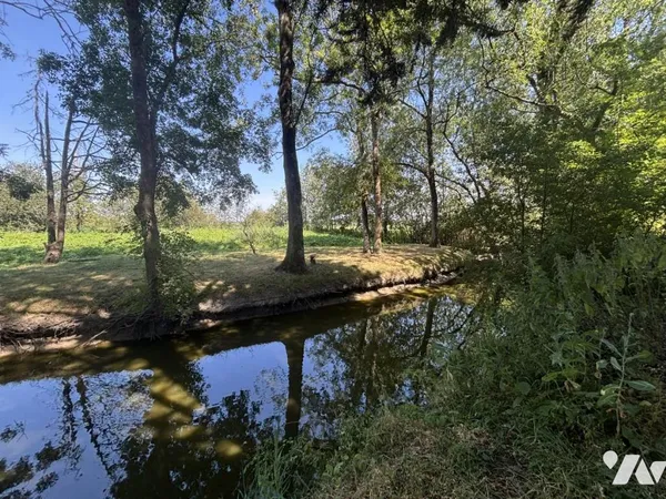Terrain 730 m²