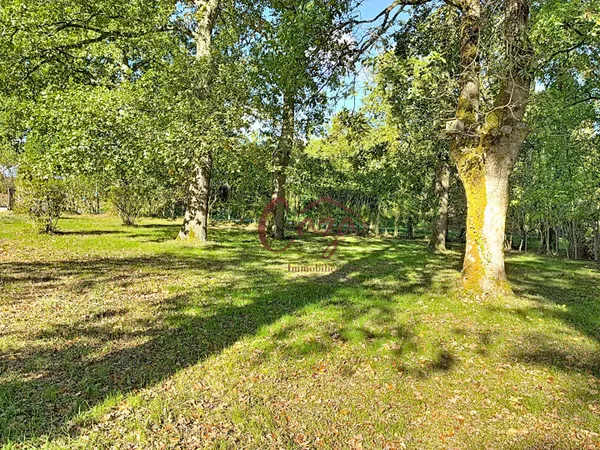 Terrain Sadirac 610 m2