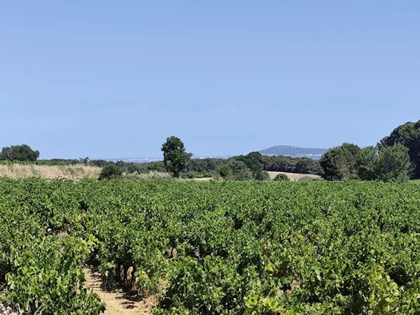 Terrain agricole, avec eau, 4800€