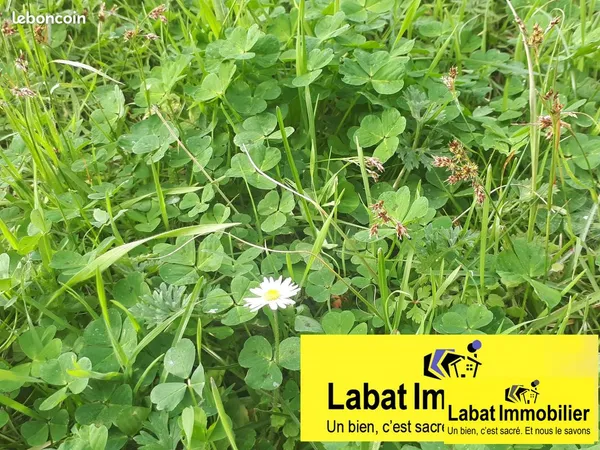 Terrain 363 m² Tarnos
