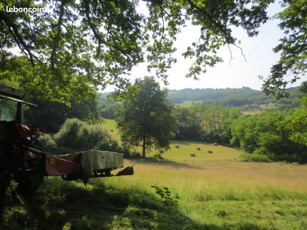 Terres agricoles Bio 15Ha 51 MONTESQUIEU-VOLVESTRE