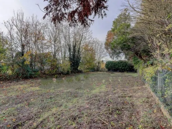 Terrain 719 m²