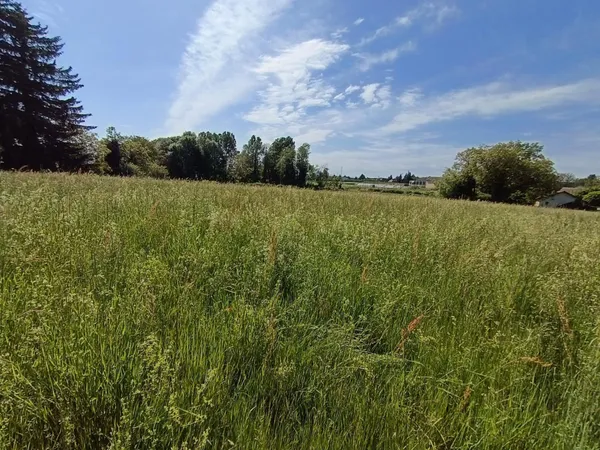 Terrain en individuel 1950 m²